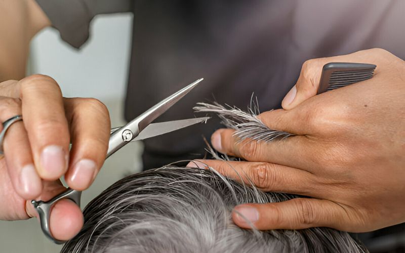 Barber Trimming Senior Hair - The Barber Village Barber Trimming Senior Hair - The Barber Village